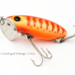 オレンジジッターバグ